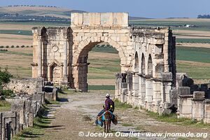 Volubilis - Maroc