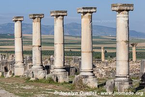 Volubilis - Maroc