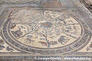 Volubilis - Maroc