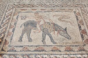 Volubilis - Maroc