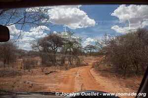 Parc national de Tarangire - Tanzanie