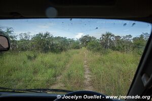 Parc national de Saadani - Tanzanie