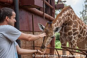 Giraffe Centre - Nairobi - Kenya