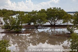 Lagune du ruisseau Mida - Kenya