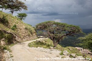 Collines de Cherangani - Kenya