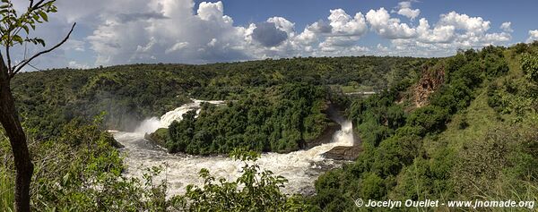Parc national des chutes de Murchison - Ouganda