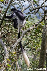 Région des cratères de Kasenda - Ouganda