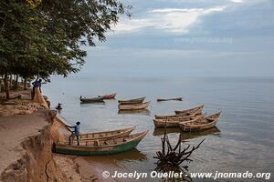 Réserve faunique de Semuliki - Ouganda