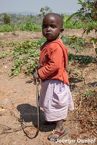 Le pays des milles collines - Rwanda