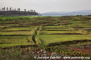 Lac Kivu - Rwanda