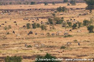 Parc national du Serengeti - Tanzanie