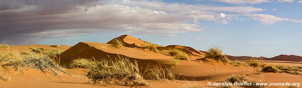 Section nord - Parc national de Namib-Naukluft - Namibie