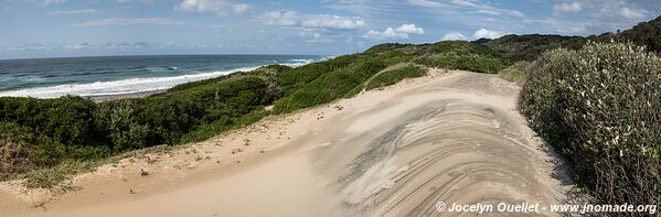 Cap Vidal - Eastern Shores - iSimangaliso Wetland Park - The Elephant Coast - Afrique du Sud