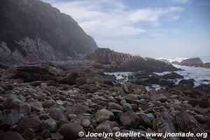 Sentier de la loutre - Parc national de Tsitsikamma - Afrique du Sud