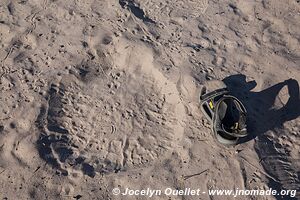 Parc national de Makgadikgadi - Botswana