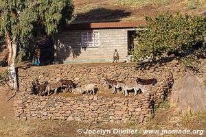 Route de Ha Lejone à Katse Dam - Lesotho