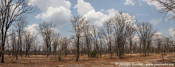 Parc national de Liwonde - Malawi