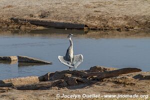 Parc national de Hwange - Zimbabwe