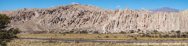 Route de Cafayate à Angastaco - Argentine