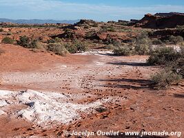 Parque Provincial Ischigualasto - Argentine