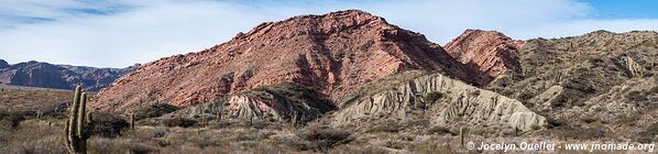 Camino de Los Colorados - Argentine