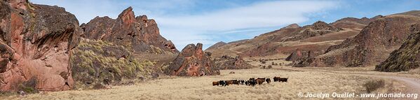 Valle Encantado - Cuesta del Obispo - Argentine