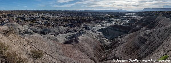 Parque Provincial Ischigualasto - Argentine
