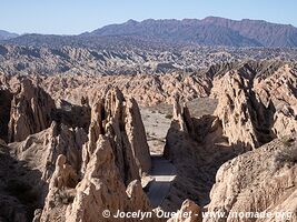 Monumento Natural Angastaco - Argentine