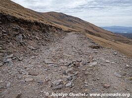 Réserve biologique Cordillera de Sama - Bolivie