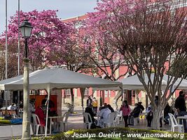 Tarija - Bolivie