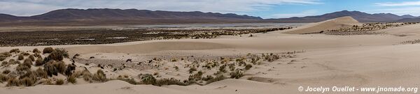 Réserve biologique Cordillera de Sama - Bolivie