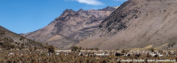 Parc national Sajama - Bolivie