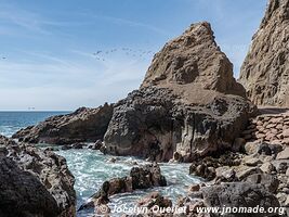 Grottes de Anzota - Arica - Chili