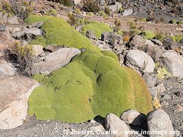 Parc national Lauca - Chili