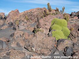 Parc national Lauca - Chili