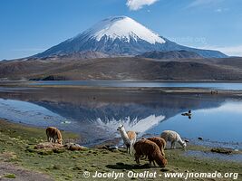 Parc national Lauca - Chili