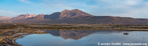Parc national Lauca - Chili