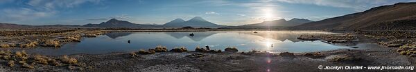Parc national Lauca - Chili