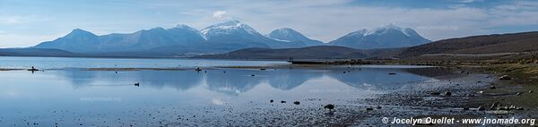 Parc national Lauca - Chili