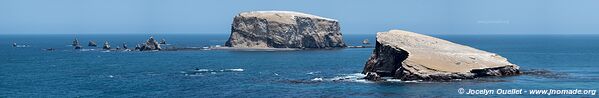 Réserve nationale de Paracas - Pérou