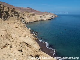Réserve nationale de Paracas - Pérou