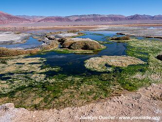 Circuit El Peñón-Piedra de Pomez-Laguna Carachi Pampa - Argentine