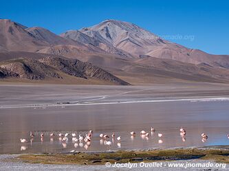 Circuit El Peñón-Laguna Grande-Laguna Diamante - Argentine