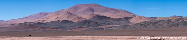 Reserva Provincial Laguna Brava - Argentine