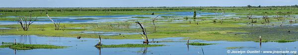 Reserva Natural Bañado la Estrella - Argentine