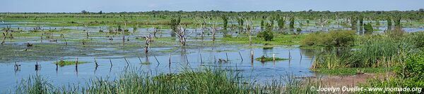 Reserva Natural Bañado la Estrella - Argentine