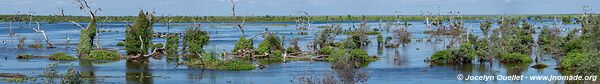 Reserva Natural Bañado la Estrella - Argentine