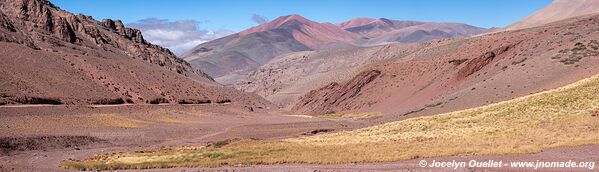 Reserva Provincial Laguna Brava - Argentine