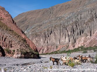 Iruya - Argentine