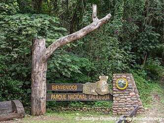 Parc national Calilegua - Argentine